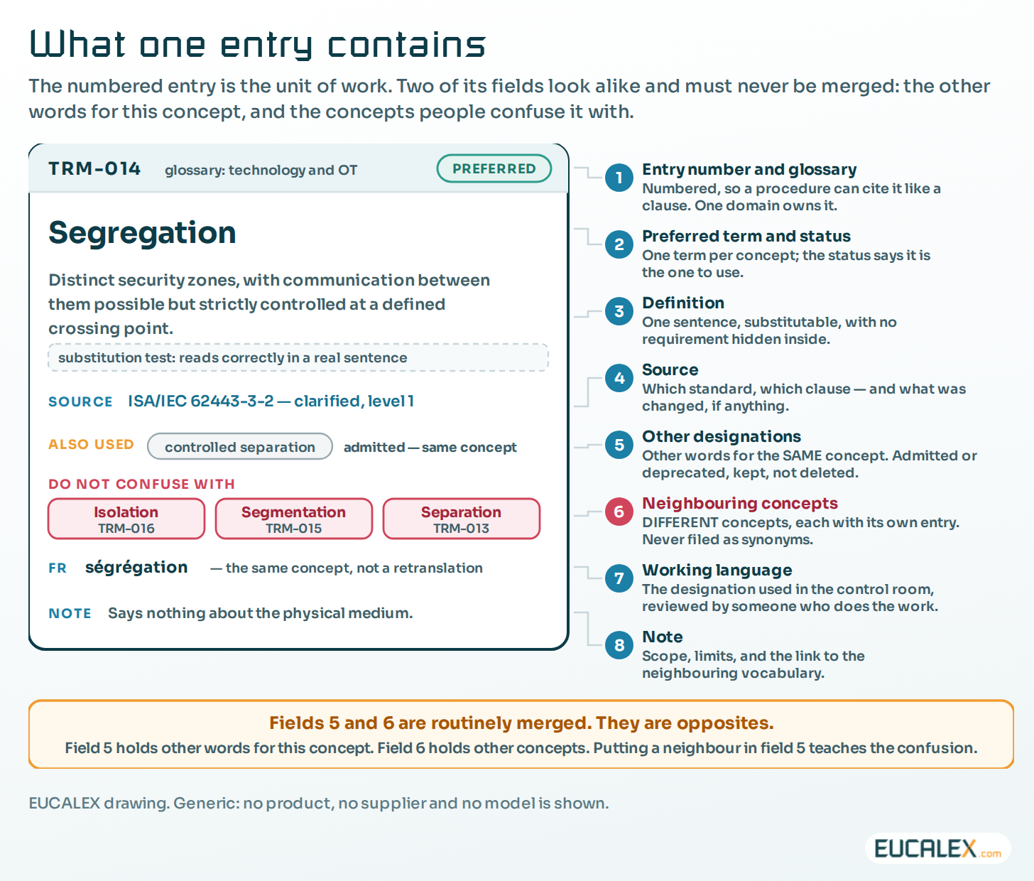 What one entry contains. Two fields are routinely merged and must not be: the other words for this concept, and the neighbouring concepts people confuse it with. Designations on one side, cross-references on the other.